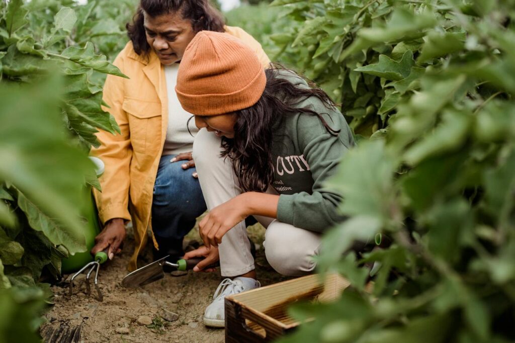 Sustainable farming practices